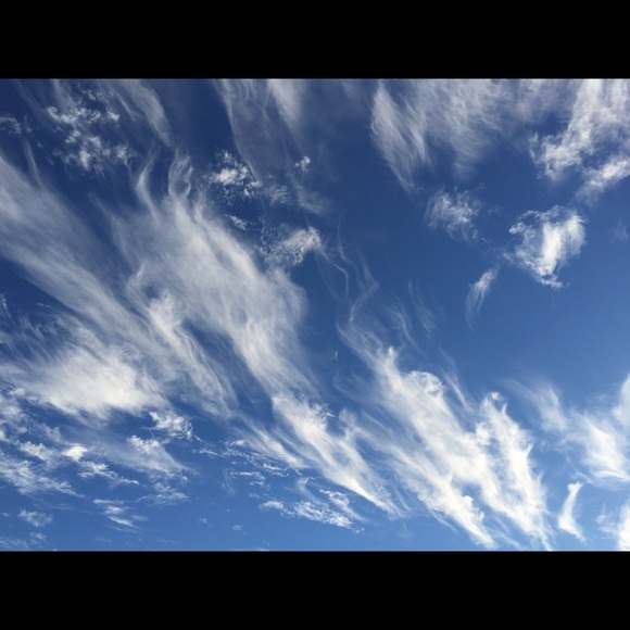 Meet your Posher, Bill - Picture 1 of 1